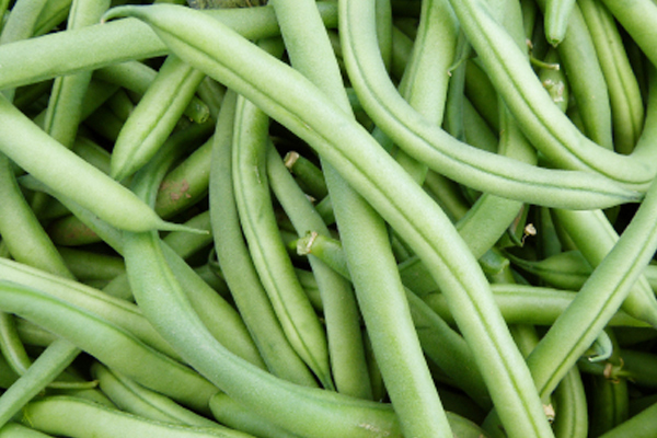 /media/k2/galleries/51219/07