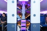 Air New Zealand Bunk Beds latest, Air New Zealand Bunk Beds pictures, air new zealand introduces bunk beds in economy flights, Economy