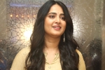 Anushka upcoming movies, UV Creations, anushka s next project updates, Anushka shetty