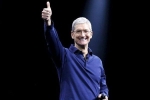 apple, apple ceo tim cook, apple ceo tim cook believes a four year degree not needed to get a programming job, Apple store