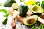 Avocado latest, Avocado, add avocado in your diet to lose weight, Dessert