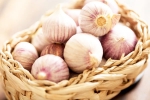 Chinese garlic ban, Chinese garlic ban, how to identify banned chinese garlic in the indian market, Pesticides