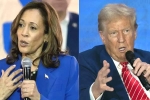 Kamala Harris Vs Donald Trump election, Donald Trump, more billionaires back kamala harris over donald trump, Fashion