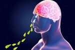 Primary Amoebic Meningoencephalitis breaking, Kerala, brain eating amoeba in kerala why and how it spreads, Programs
