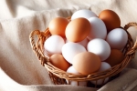Brown Eggs Vs White Eggs which is healthy, Brown Eggs Vs White Eggs which is bad, brown eggs vs white eggs which is healthy, Nri Brown Eggs Vs White Eggs which is healthy, Brown Eggs Vs White Eggs which is bad, brown eggs vs white eggs which is healthy, Nri