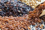 Brown Rice Vs Black Rice better, Black Rice, brown rice vs black rice which one is healthier, Brown rice Brown Rice Vs Black Rice better, Black Rice, brown rice vs black rice which one is healthier, Brown rice