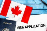 Canada's study visa approvals shocker, Canada's study visa approvals for Indians, canada s study visa approvals for indian students to drop by 50 in 2024, Federal government