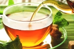 herbs, herbs, is consuming tea linked to immunity, Well being