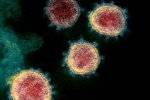 Covid-26, Coronavirus origin, face covid 26 and covid 32 warns experts, Coronavirus origin