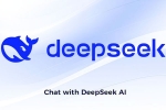 DeepSeek Janus Pro, DeepSeek 2025 breaking, deepseek releases janus pro 7b image generation ai model, Investors