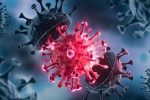 USA Coronavirus new cases, USA Coronavirus new cases, delta variant makes usa tensed again, Pfizer