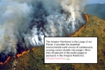 fire at amazon rainforest, amazon forest wildfires, in pictures devastating fires in amazon rainforest visible from space, Sao paulo
