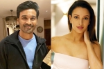 Triptii Dimri breaking updates, Triptii Dimri new movie, dhanush to romance animal actress triptii dimri, Majnu