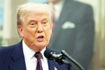 Sergio Gor updates, Sergio Gor breaking, donald trump names close political aide as india ambassador, Partner