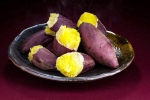 Sweet Potato experts, Sweet Potato advise, what happens if you eat sweet potato everyday, Slow down
