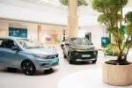 Car Sales September 2024, September 2024 car sales, electric car and suv sales reach lowest in september 2024, Mg windsor ev