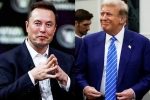 Elon Musk and Donald Trump spends, Elon Musk and Donald Trump support, elon musk s big bet on donald trump, American elections 2024