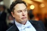 Elon Musk India visit latest breaking, Elon Musk India visit dates, elon musk s india visit delayed, Tesla