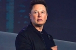 Elon Musk news, Elon Musk latest, elon musk talks about cage fight again, Billionaires