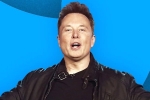 Elon Musk breaking news, Elon Musk layoffs, elon musk s new ultimatum to twitter staffers, Tesla