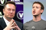Mark Zuckerberg, Elon Musk and Mark Zuckerberg breaking, elon vs zuckerberg mma fight ahead, Billionaires