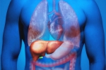 Fatty Liver in Youngsters news, Fatty Liver in Youngsters news, why is fatty liver affecting youngsters, Coffee