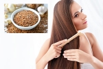 Flaxseeds, Flaxseeds disadvantages, how flaxseeds can help for a long and healthy hair, Recipes