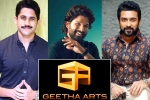 Geetha Arts projects, Geetha Arts upcoming movies, geetha arts to announce three pan indian films, Boyapati srinu