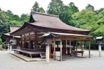 Japan Viral Mikami Shrine, Japan Viral Mikami Shrine breaking updates, why are travellers flocking to japan s viral mikami shrine, Ram