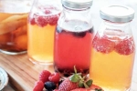Kombucha and Fermented Foods, Kombucha and Fermented Foods for health, health benefits of kombucha and fermented foods, Abba