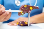 Liver Health, Liver Health factors, factors that worsens your liver health, 26 11 attack