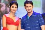 Pooja Hegde future projects, Pooja Hegde news, mahesh babu all set to romance pooja hegde again, Maharshi