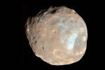 NASA breaking, Martian Moon first pictures, nasa s pic of martian moon phobos breaks the internet, Frigid
