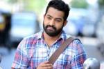 NTR next film, KS Ravindra, official ntr s next film locked, Sardar gabbar singh NTR next film, KS Ravindra, official ntr s next film locked, Sardar gabbar singh