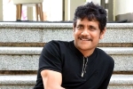Nagarjuna new movies, Nagarjuna new projects, nagarjuna s 100th film will be a multi starrer, Wild dog