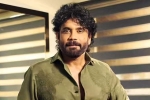 Nagarjuna Personal Rights news, Nagarjuna Personal Rights news, delhi high on nagarjuna s personal rights, Kapoor