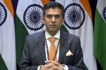 mea naya action terror groups, mea statement on paksitan, mea naya pakistan with naya soch should show naya action against terrorist groups, Jem masood azhar