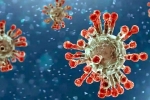 China Covid Row updates, China Covid Row, new china coronavirus variant traced in india, Omicron