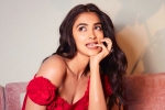 Pooja Hegde news, Pooja Hegde new film, pooja hegde in talks for a biggie, Ssmb28