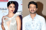 Pooja Hegde latest, Pooja Hegde latest, pooja hegde all set to romance prabhas, Duvvada jagannadham