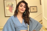 Pooja Hegde, Pooja Hegde updates, pooja hegde in pink remake, Taapsee