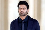 Maruthi, Prabhas new movie, new updates of prabhas and maruthi film, Boman irani