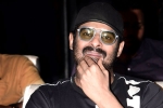 Prabhas and Maruthi Film release date, Prabhas and Maruthi Film pooja, prabhas next film launched, A maruthi film