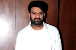Prabhas film, Prabhas film updates, two beauties locked to romance prabhas, A maruthi film