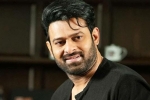 Prabhas new movie, Nag Ashwin, prabhas to join project k from november, C ashwini dutt