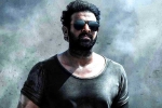 Prabhas Salaar villain, Prithviraj Sukumaran, prabhas salaar to have malayalam star, Shruthi