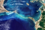 Ram Setu pictures new breaking, Ram Setu, ram setu s pictures from the space, Birds