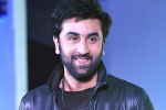 Ranbir Kapoor latest, Ranbir Kapoor, ranbir kapoor s cameo in srk s next, Ae dil hai mushkil Ranbir Kapoor latest, Ranbir Kapoor, ranbir kapoor s cameo in srk s next, Ae dil hai mushkil