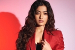 Rashmika and Manager breaking news, Rashmika and Manager issue, rashmika mandanna clears air, Animal film Rashmika and Manager breaking news, Rashmika and Manager issue, rashmika mandanna clears air, Animal film