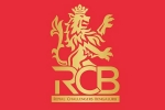 Royal Challengers Bengaluru breaking, Royal Challengers Bengaluru 2025, royal challengers bengaluru is put on sale, Ipl Royal Challengers Bengaluru breaking, Royal Challengers Bengaluru 2025, royal challengers bengaluru is put on sale, Ipl